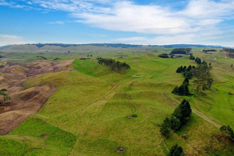 Photo of property in 473 Otake Road, Marotiri, Taupo, 3377