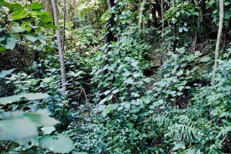 Photo of property in 93c Cecil Road, Wadestown, Wellington, 6012