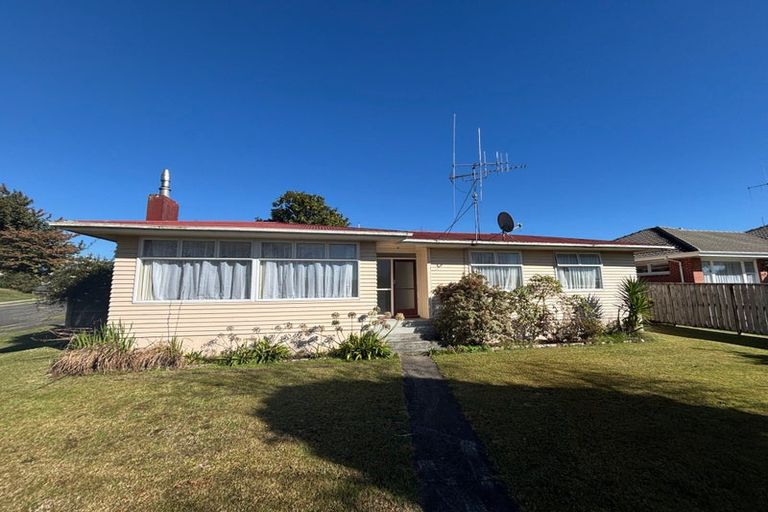 Photo of property in 82 Elizabeth Drive, Tokoroa, 3420