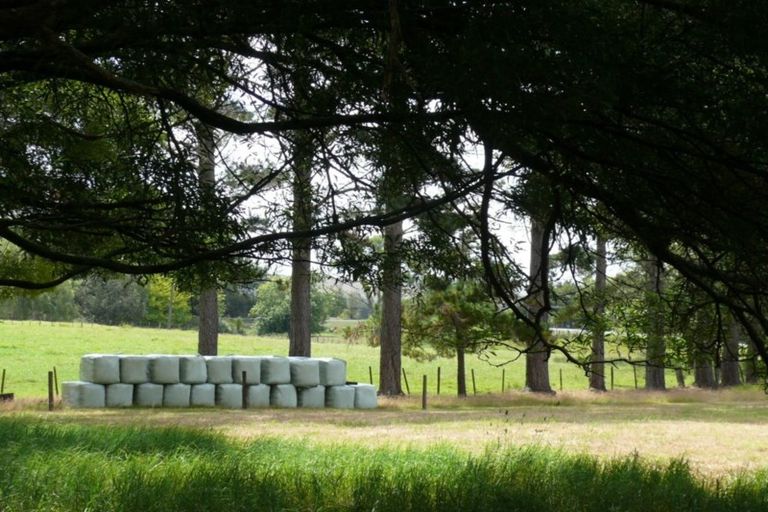 Photo of property in 75 Malone Road, Poroti, Whangarei, 0179