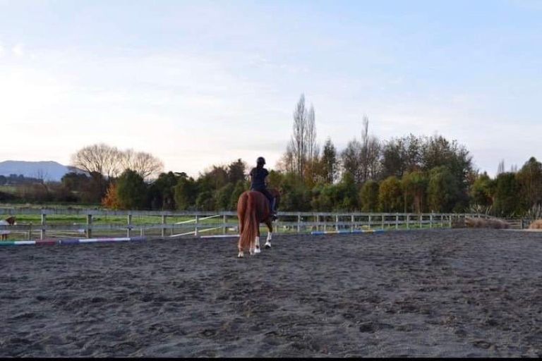 Photo of property in 211 Sercombe Road, Geraldine Downs, Geraldine, 7991