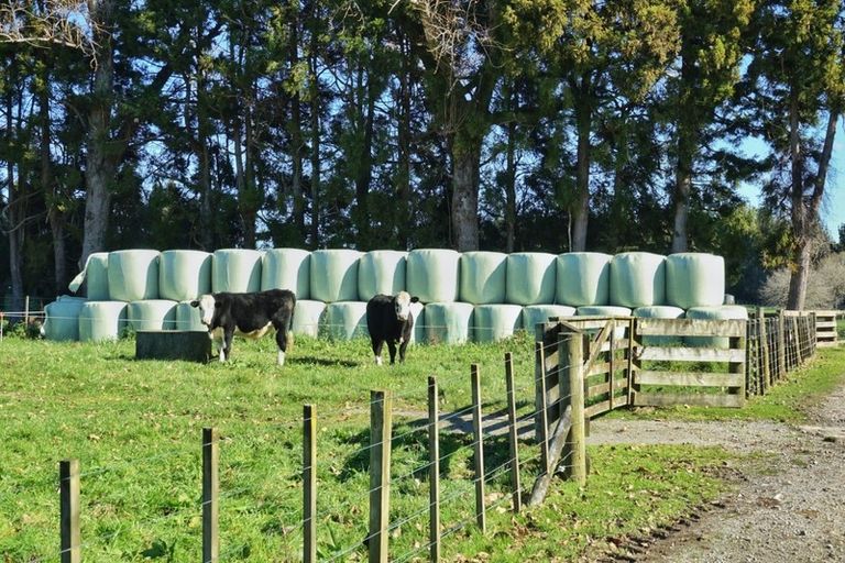 Photo of property in 288 Oropi Gorge Road, Oropi, Tauranga, 3173