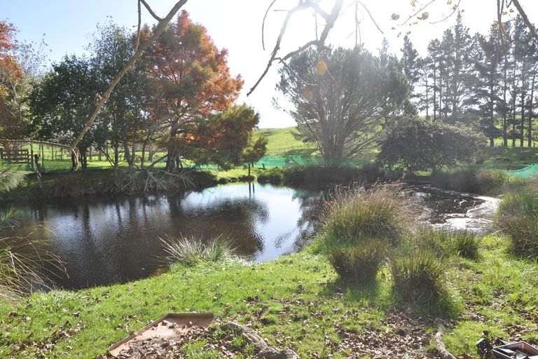 Photo of property in 279 Whangaripo Valley Road, Wellsford, 0972