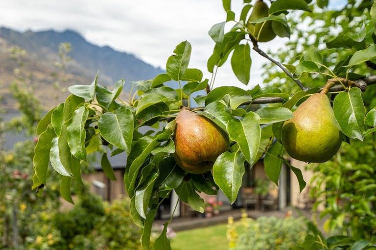 Photo of property in 3 Witley Lane, Lower Shotover, Queenstown, 9371