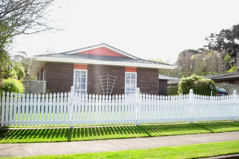 Photo of property in 31 Downes Avenue, Springvale, Whanganui, 4501
