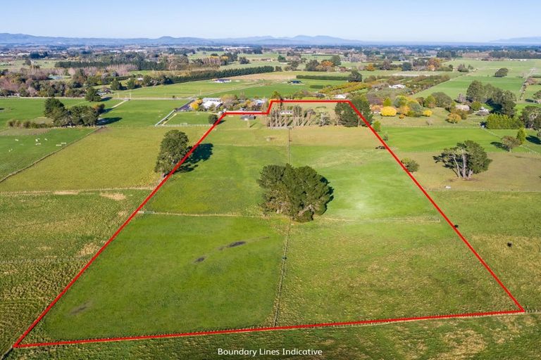 Photo of property in 266 Upper Plain Road, Upper Plain, Masterton, 5888