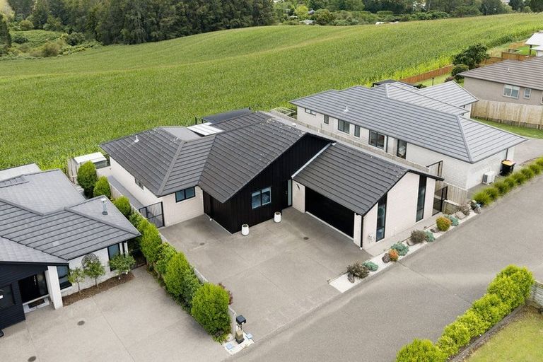 Photo of property in 20 Kirk Lane, Ohauiti, Tauranga, 3112