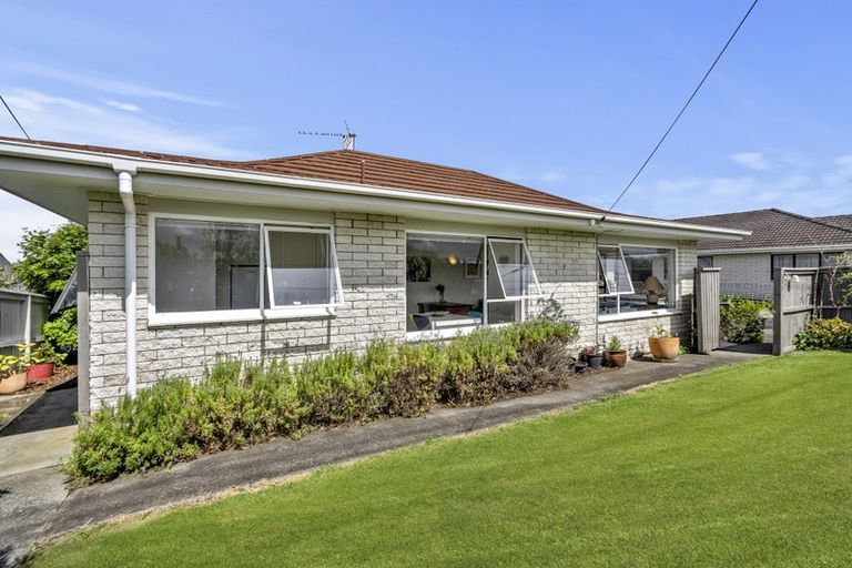Photo of property in 1/141 Chivalry Road, Glenfield, Auckland, 0629