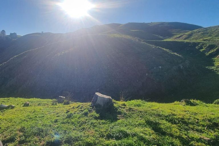 Photo of property in 964 Puketitiri Road, Puketapu, Napier, 4182