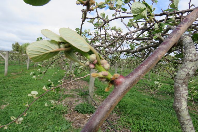 Photo of property in 7181 State Highway 1, Kaitaia, 0481