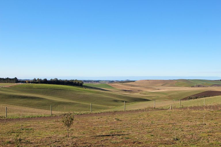 Photo of property in 407 Kauru Hill Road, Incholme, Oamaru, 9492