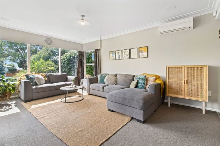 Photo of property in 14 Laurence Street, Queenwood, Hamilton, 3210