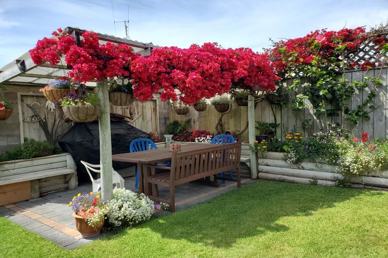 Photo of property in 10 Wallnutt Avenue, Waihi Beach, 3611