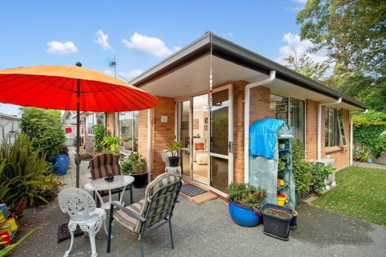 Photo of property in 11/17 Simmonds Grove, Greerton, Tauranga, 3112