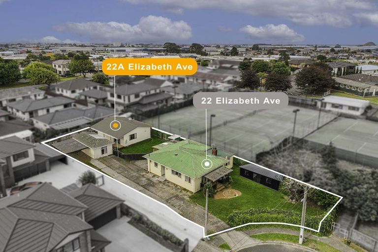 Photo of property in 22 Elizabeth Avenue, Papatoetoe, Auckland, 2025