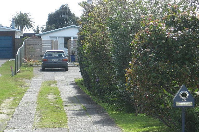 Photo of property in 42a James Street, Whakatane, 3120