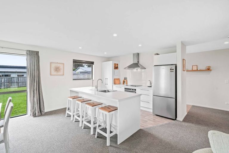 Photo of property in 17a Normanby Street East, Rakaia, 7710