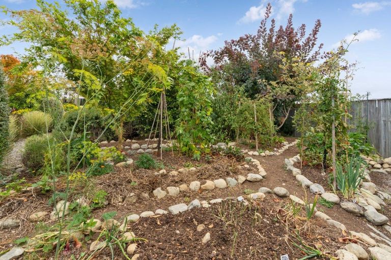 Photo of property in 54 Gimson Street, Solway, Masterton, 5810