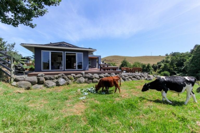 Photo of property in 31 Sealy Road, Omata, New Plymouth, 4374