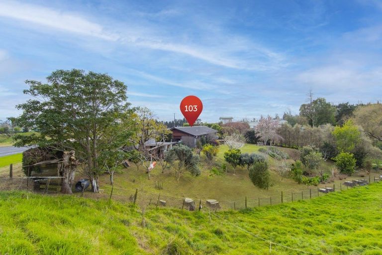 Photo of property in 103 Warner Road, Oropi, Tauranga, 3173