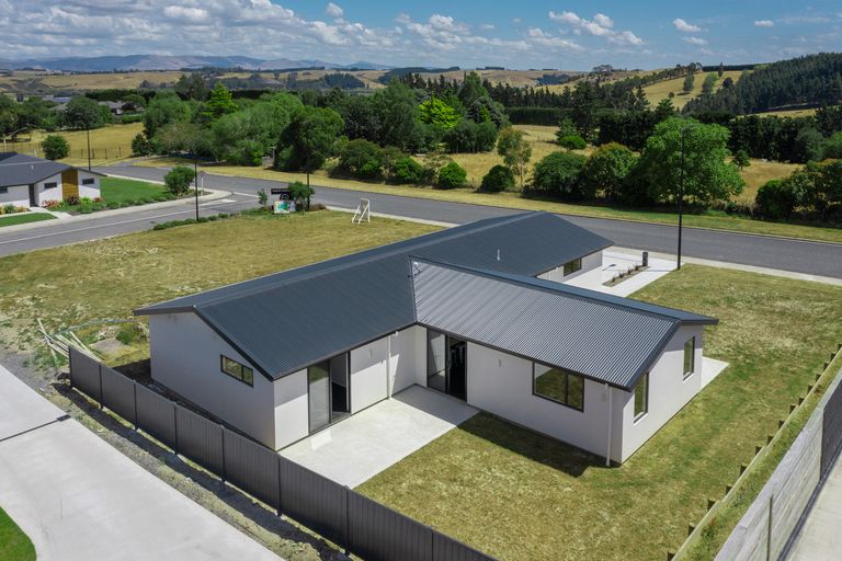 Photo of property in 42 Mcneil Street, Balclutha, 9230