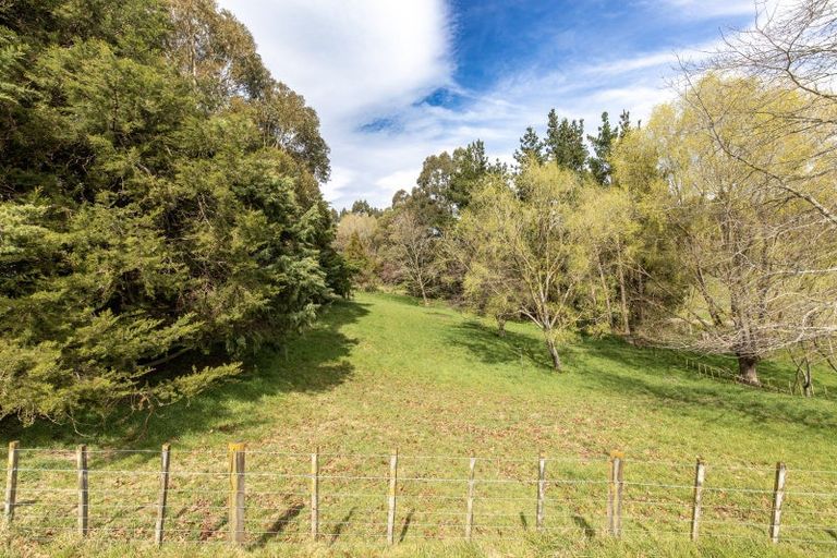 Photo of property in 134b Tipapakuku Road, Dannevirke, 4930
