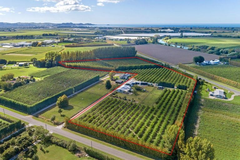 Photo of property in 34 Bell Road, Matawhero, Gisborne, 4071