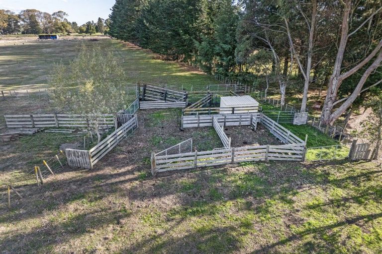 Photo of property in 47 Equestrian Lane, Bridge Pa, Hastings, 4175