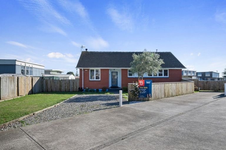 Photo of property in 41a Hinemoa Street, Levin, 5510