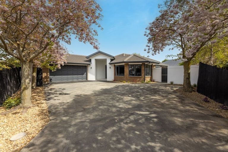 Photo of property in 19 Excalibur Place, Burwood, Christchurch, 8083