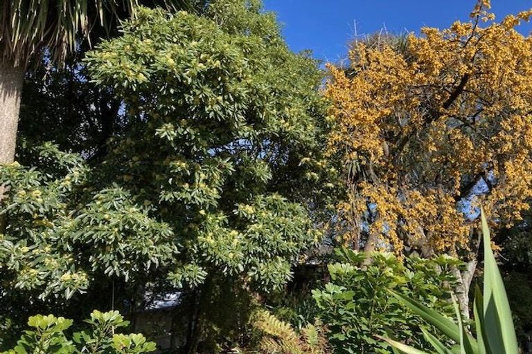 Photo of property in 337 Worcester Street, Linwood, Christchurch, 8011