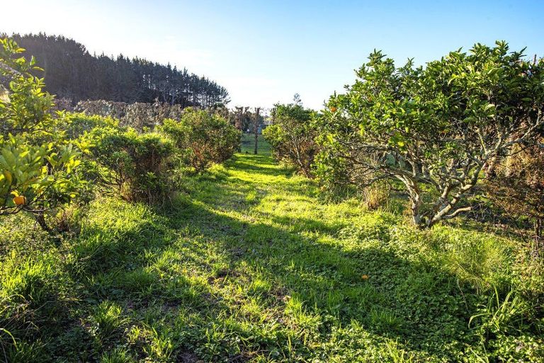 Photo of property in 577a Whareora Road, Whareora, Whangarei, 0175