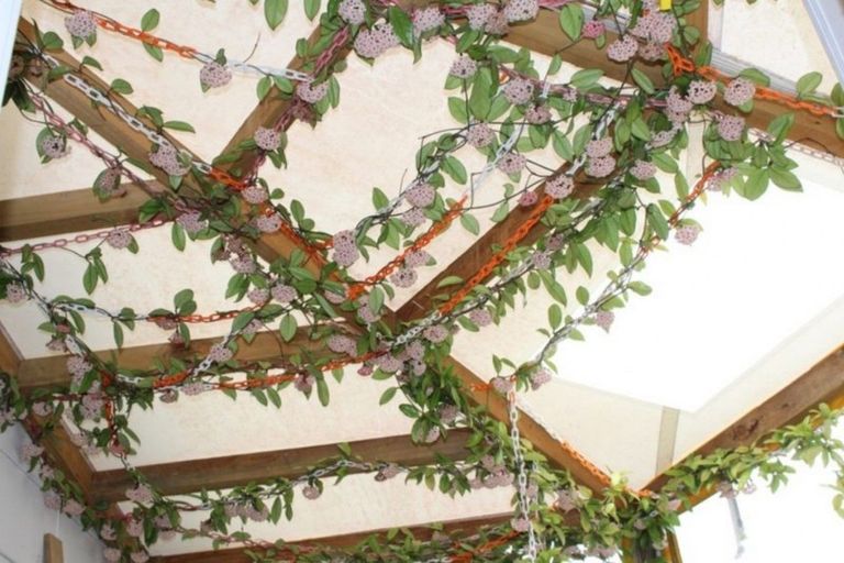 Photo of property in 34a Dermont Street, Bader, Hamilton, 3206