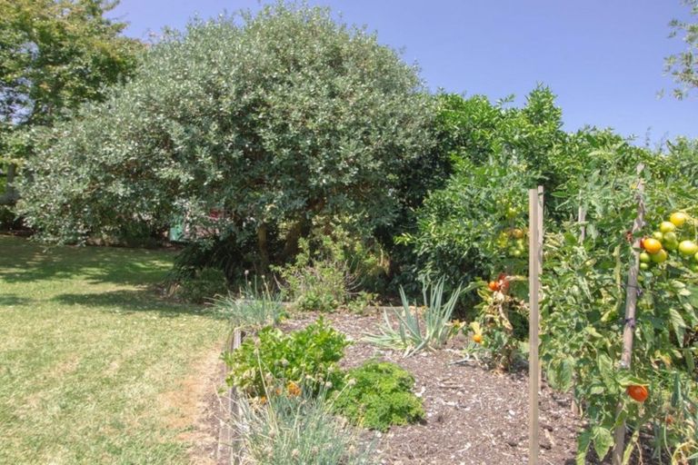 Photo of property in 13 Carlyle Street, Te Aroha, 3320