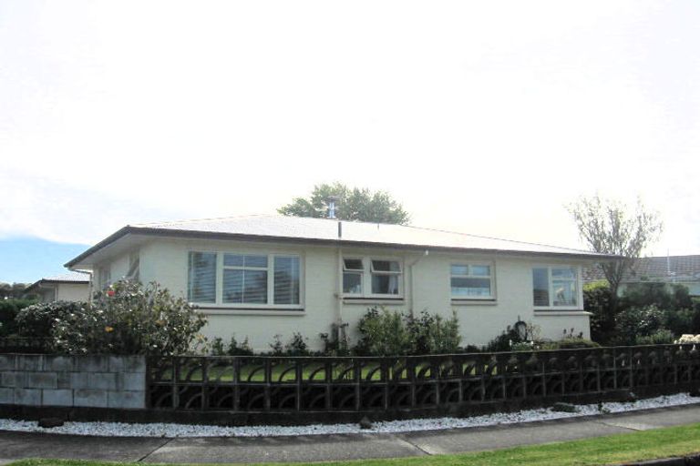 Photo of property in 22 Leefield Street, Blenheim, 7201