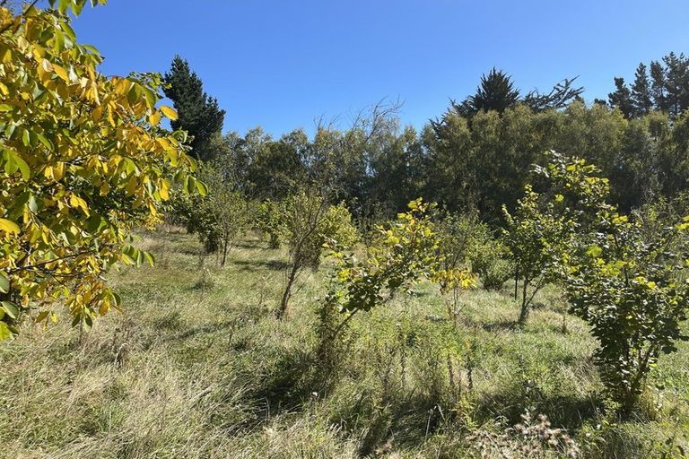 Photo of property in 37 Knoll Street, Milton, 9292