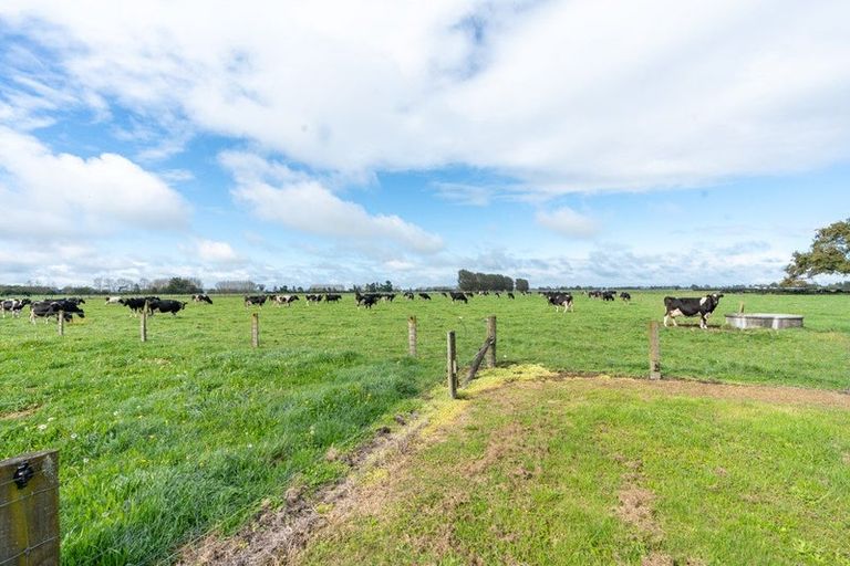 Photo of property in 294 Piako Road, Gordonton, Hamilton, 3281