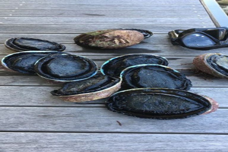 Photo of property in 149 Te Awaiti Road, Tora, Martinborough, 5782