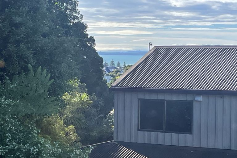 Photo of property in 26 Moorgreen Heights, Torbay, Auckland, 0630