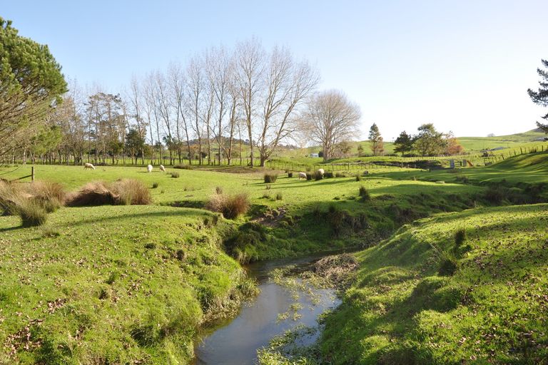 Photo of property in 279 Whangaripo Valley Road, Wellsford, 0972