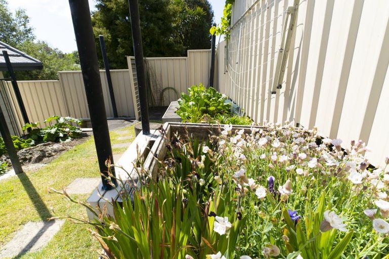 Photo of property in 6 Crosby Street, Havelock North, 4130