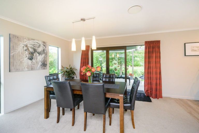 Photo of property in 1107 Saddle Road, Ashhurst, 4810