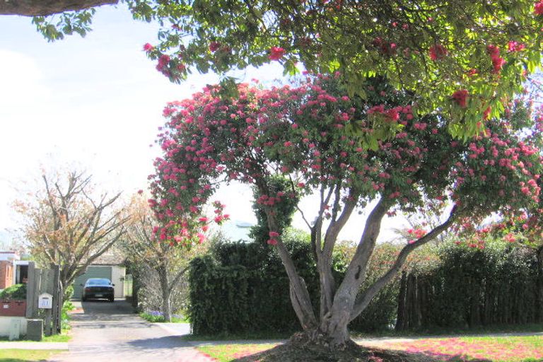 Photo of property in 31 James Street, Victoria, Rotorua, 3010