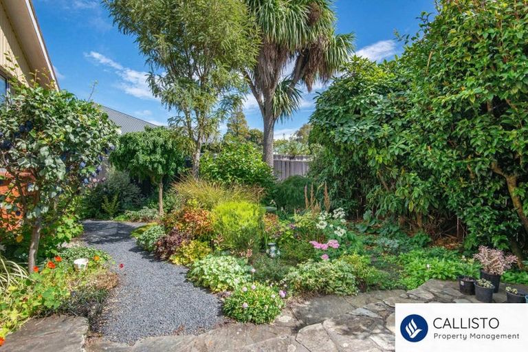 Photo of property in 16f Mure Street, Mosgiel, 9024