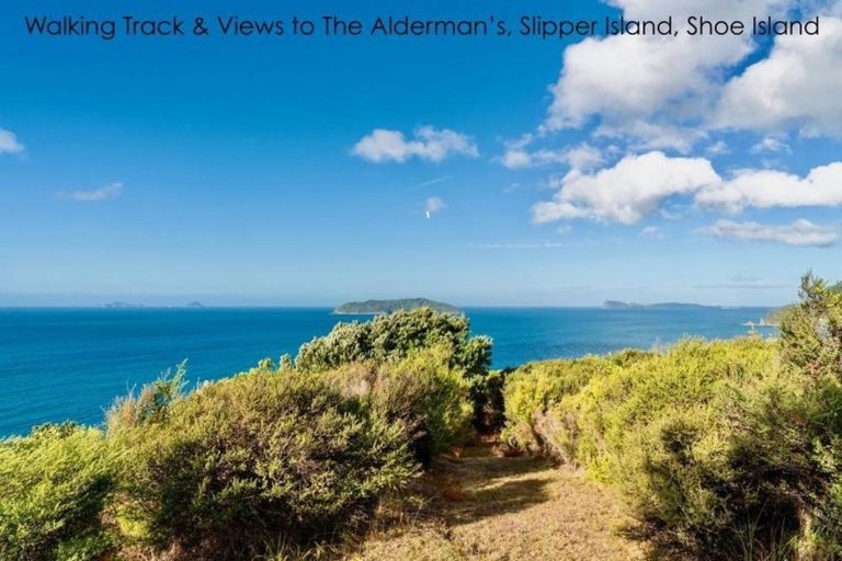 Photo of property in 210 Pumpkin Hill Road, Pumpkin Hill, Whitianga, 3591