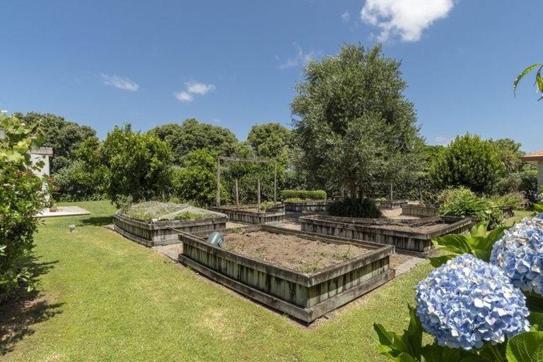 Photo of property in 23 Turner Road, Whakamarama, Katikati, 3181