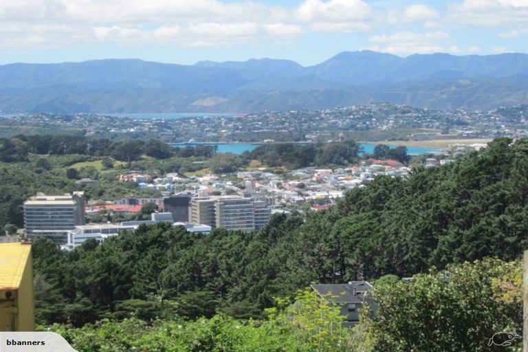 Photo of property in 117 Washington Avenue, Brooklyn, Wellington, 6021