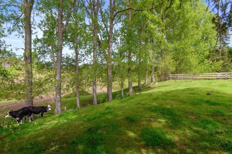 Photo of property in 1303 State Highway 33, Okere Falls, Rotorua, 3074