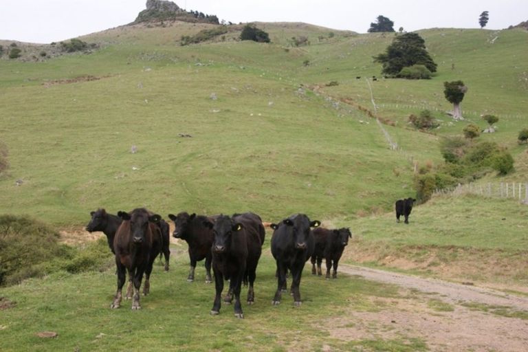 Photo of property in 145 Pettigrews Road, Pigeon Bay, Akaroa, 7583