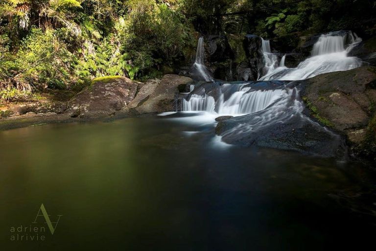 Photo of property in 236c Tim Road, Whakamarama, Tauranga, 3180